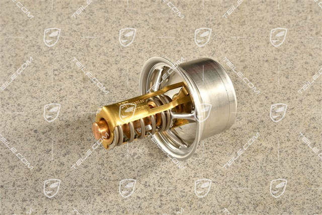 GT3, GT3 RS, Thermostat insert