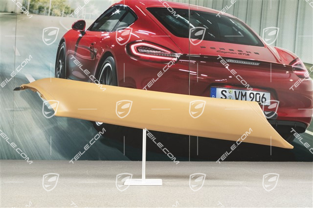 Tapicerka słupka-A, Coupe, Skóropodobna, Sand beige, R