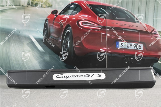 Blenden/Einstiegleisten, ohne Beleuchtung, Edelstahl, "Cayman GTS", Satz, L+R