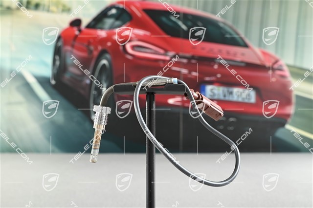 3,0 TDI, Czujnik temperatury spalin