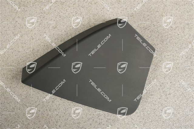Türverkleidung, vorn, Blende, Einsatz, Schwarz, R