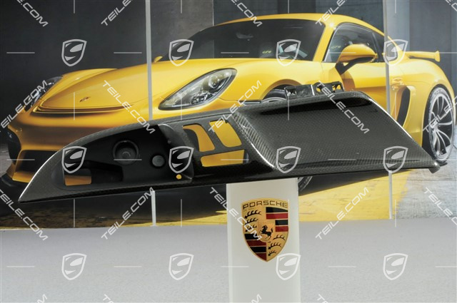 Einsatz, Griffmulde, Carbon, Cabrio, L