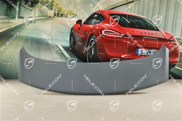 Rear lid, spoiler / wing