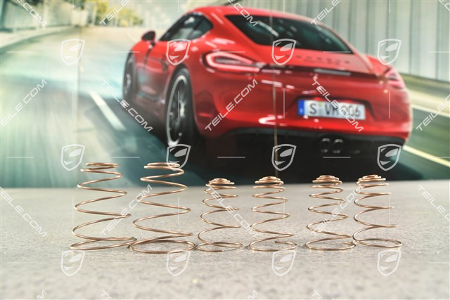 Repair set, springs, front breaks, GT3 CUP