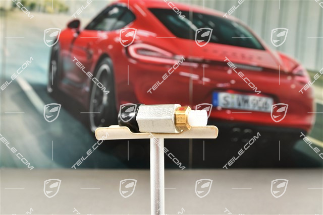 Restdruckhalteventil, PASM