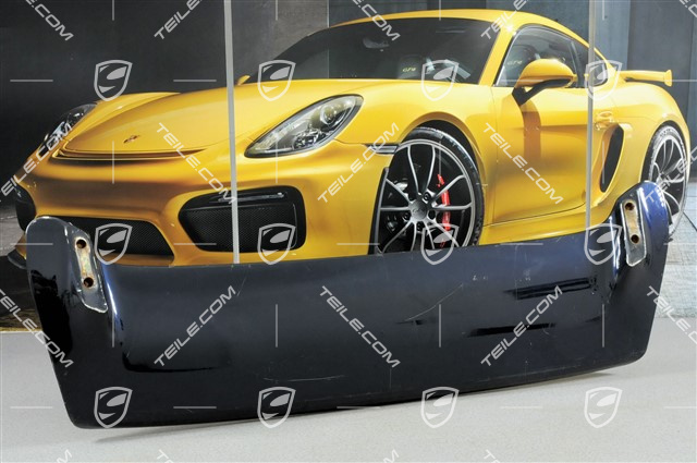 Rear spoiler, lacquered, damaged