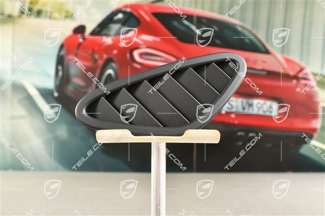 Cover, Defroster nozzle for windscreen, Black, L