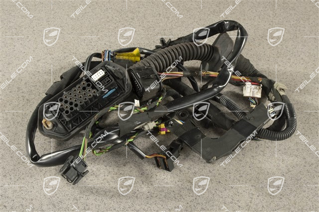 Kabelstrang, Beifahrertür, R