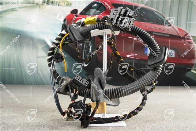 Wiring harness, Assembly frame, passenger's door, R