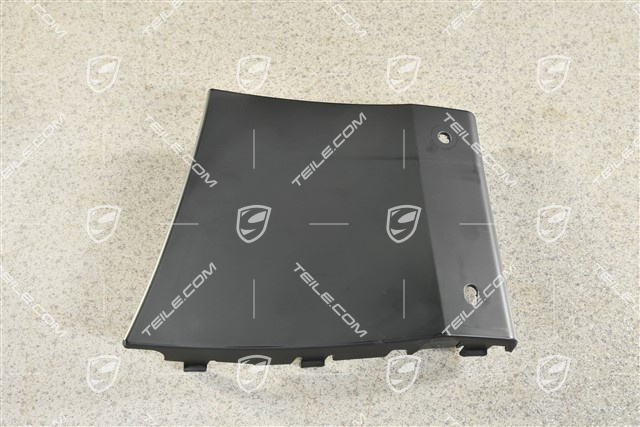 Front Wing / Fender cover / moulding, R
