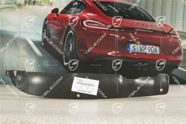 Osłona między błotnik i drzwi, R