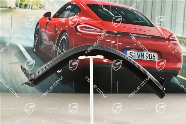 Dichtungen Cabriodach B-Säule, L