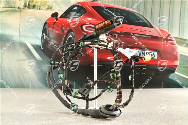 Wiring harness passenger's side / Bose soundpackage