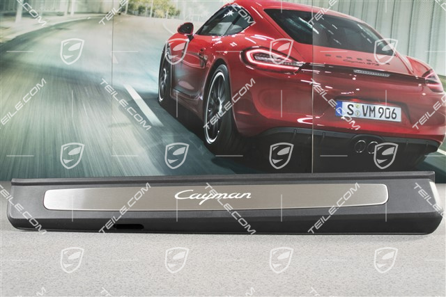 Blenden/Einstiegleisten, mit Beleuchtung, Edelstahl, "Cayman", Satz, L+R