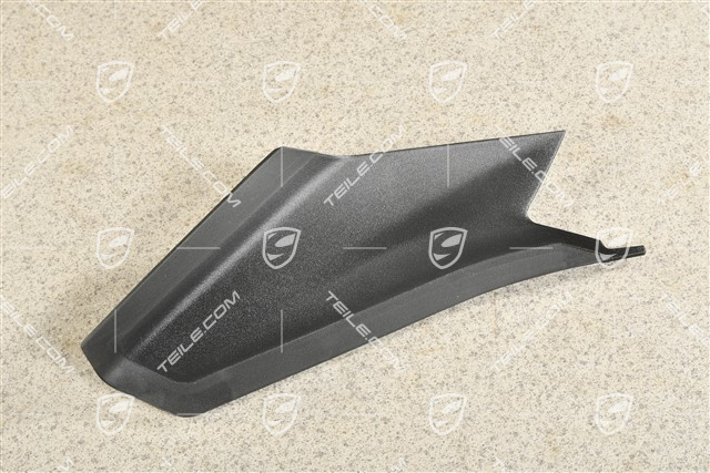 Rear light cover, L