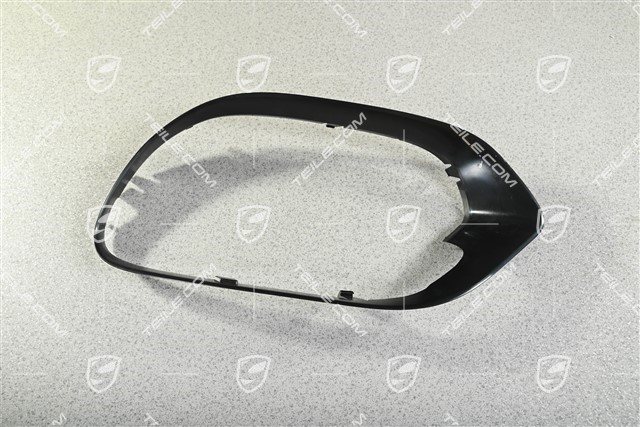 Spyder front bumper grille (frame), L, for painting