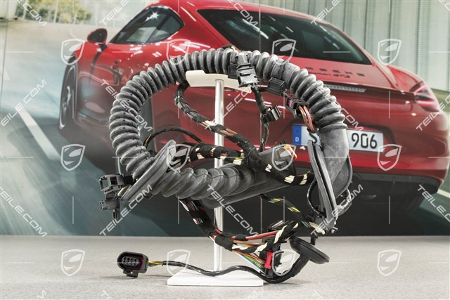 Wiązka instalancji elektrycznej drzwi pasażera / sound package 2