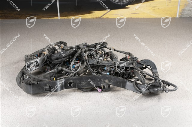 Kabelstrang, Kabelbaum, hinten, Motor, PASM / PDCC / Turbo