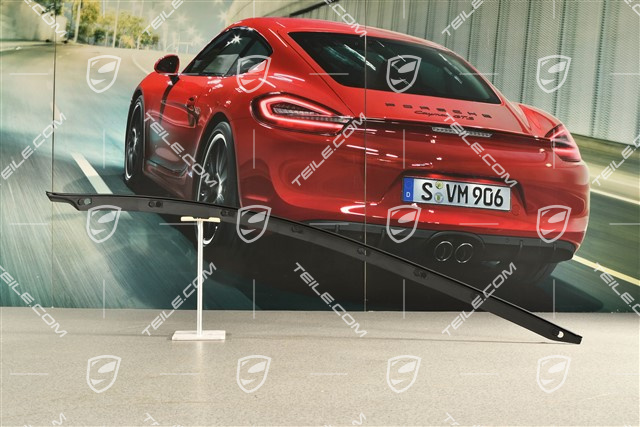 Targa, Dichtung, Seitenteil, R
