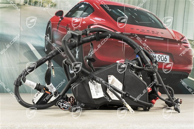 Wire set, Engine bay, 4,2L TDI