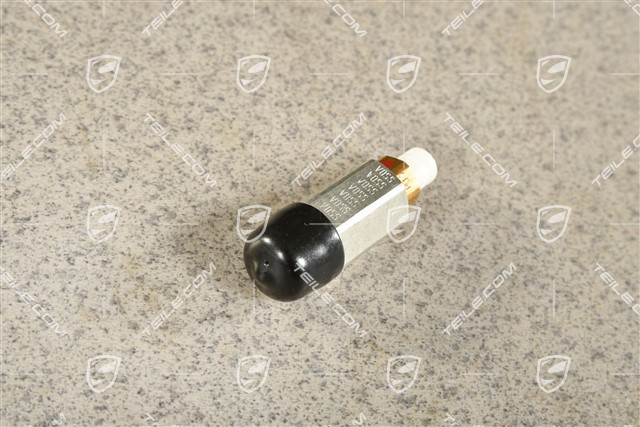 Restdruckhalteventil, PASM