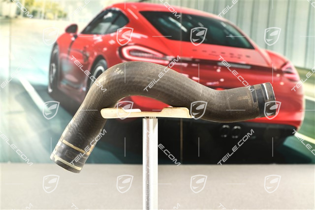 Coolant  Hose