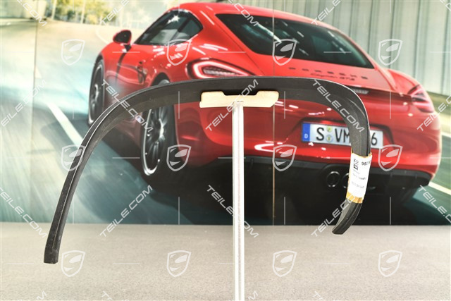 Blende, Stossfänger hinten, Schwarz, L