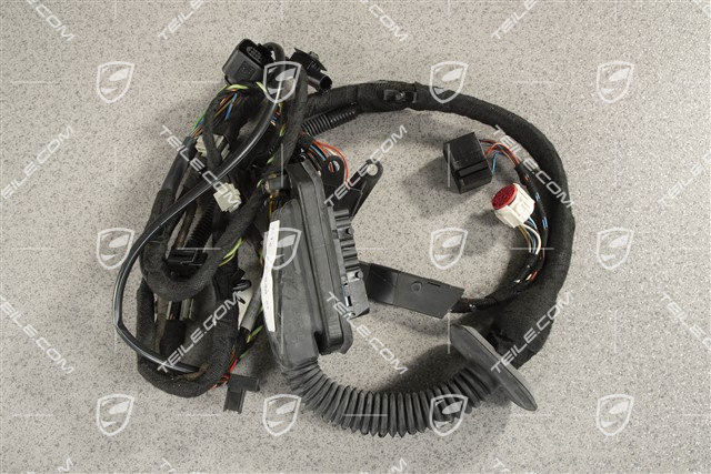 Wiring harness door panel, L