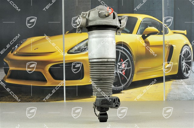 Federbein komplett, 4.8L V8 280KW / 4.8L V8 Biturbo 368KW, L Federbein komplett, 4.8L V8 280KW / 4.8L V8 Biturbo 368KW, L