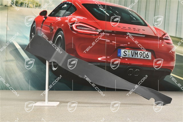 Targa, Scharnierabdeckung, Verdeckkastendeckel, L