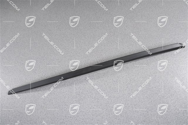 Windshield Water drain strip, A-pillar, black matte, L