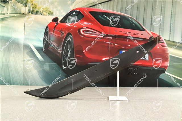 Kotflügel Blende, Satinschwarz, L