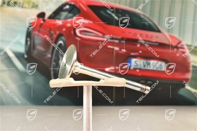 Exhaust valve