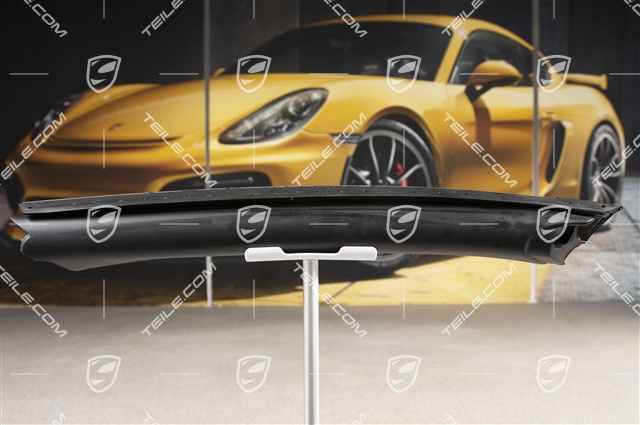 Uszczelka stelaża dachu, R