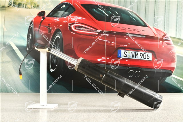 Turbo, Stossdämpfer / Schwingungsdämpfer, Liftsystem, PASM, PDCC, L=R