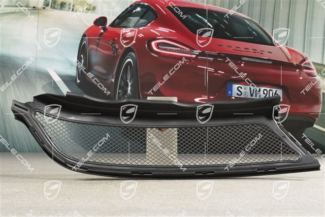 GT3RS, protective grille, L