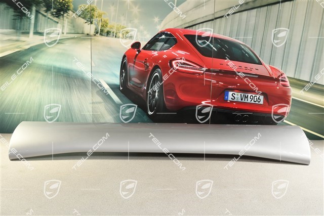 GT3RS Heckspoiler / Heckflügel