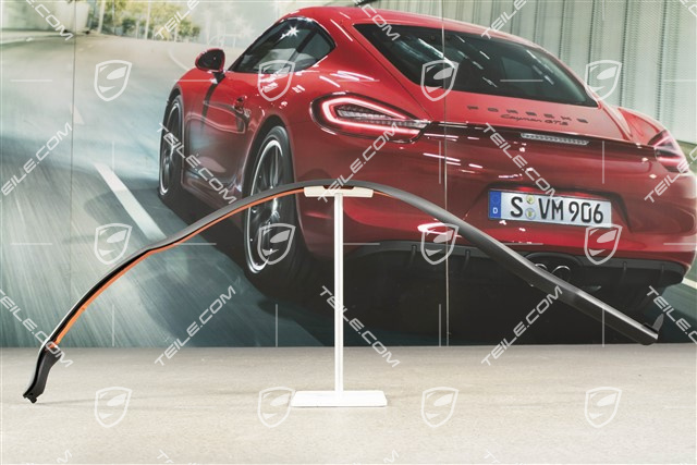 Uszczelka tylnych drzwi, przednia, L