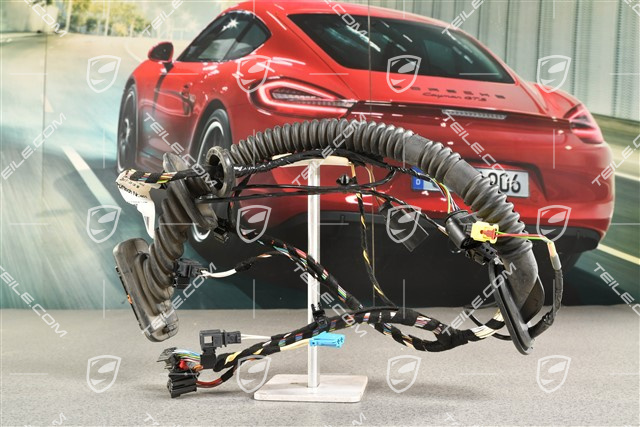 Kabelstrang, Tuertafel fahrerseite, Burmester klangpaket