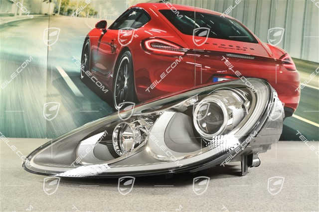 Headlight, halogen, complete, L