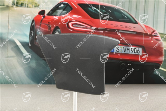Mittelkonsole, Blende, seitlich, Schwarz, R