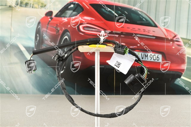 Cable loom, front bumper, GT4, R