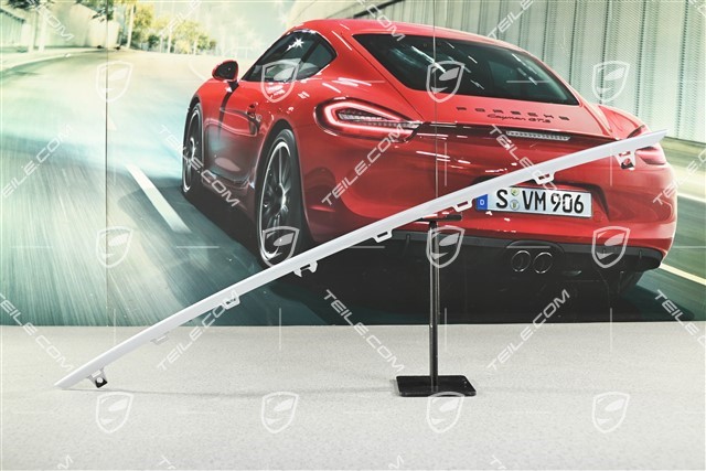 Centre disc / trim for front bumper retaining frame centre upper, Rhodium Silver Metallic