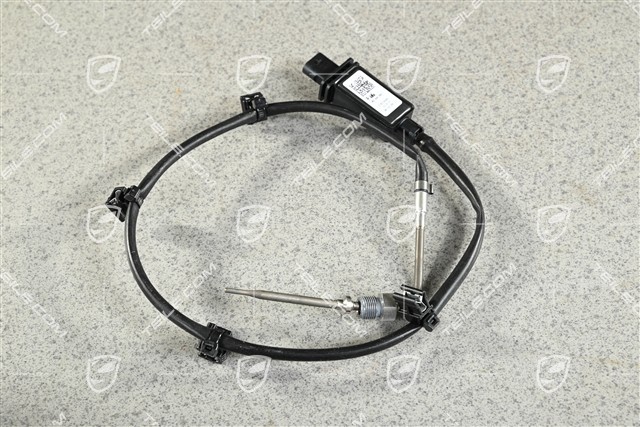 Spyder, Exhaust gas temperature sensor / sender