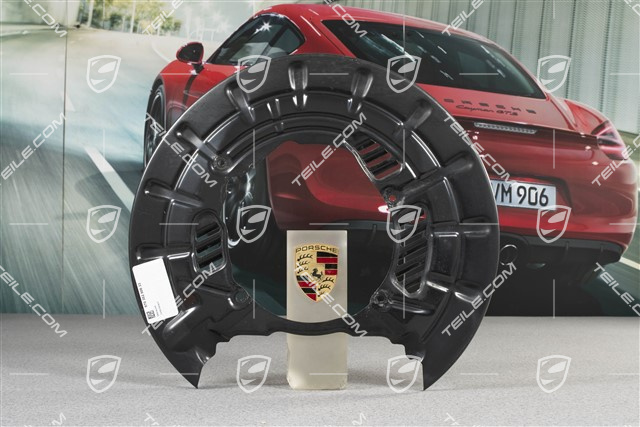 Rear axle disc brake protective plate, PCCB, R