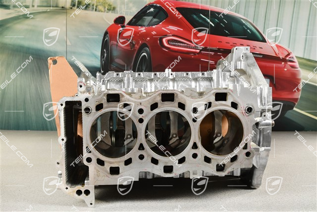 GT3RS Crankcase, A176