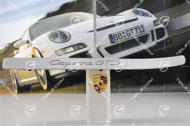 Blende, Einstiegleiste, Vorne, Edelstahl, GTS, L