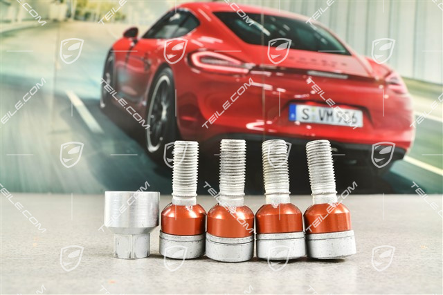 Anti-theft protection set, silver, wheel bolt + adapter