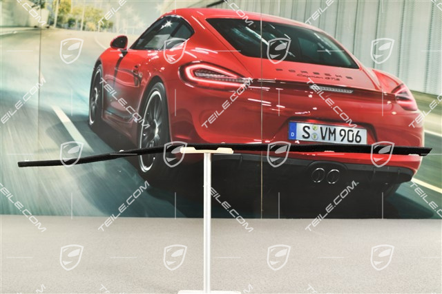 Uszczelka zgarniająca drzwi zewnętrzna, Cabrio / Targa, R
