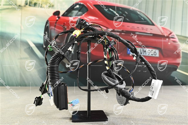 Kabelstrang Vordertür, soundpaket Basis, L